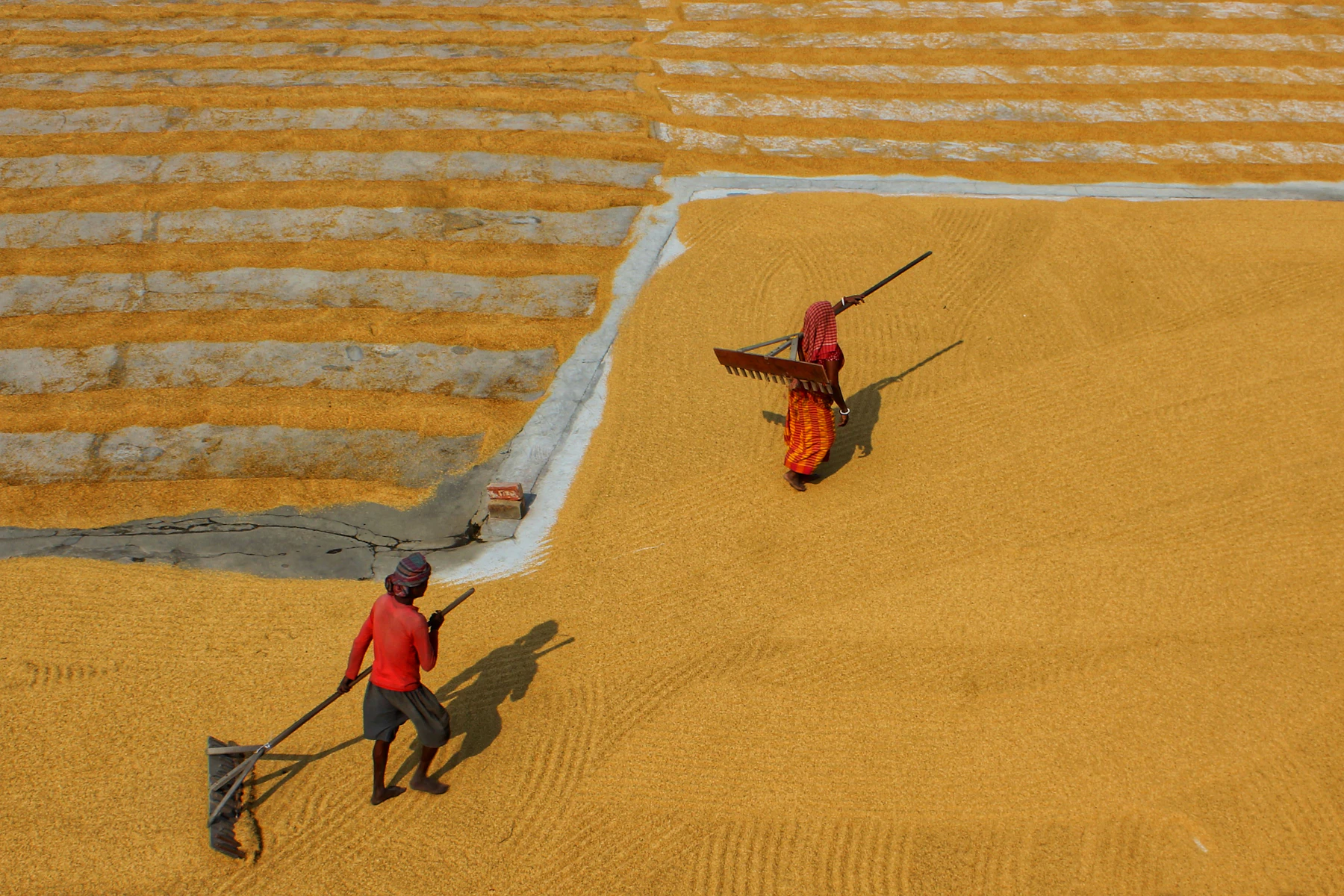 Two people preparing a grain harvest in an open courtyard